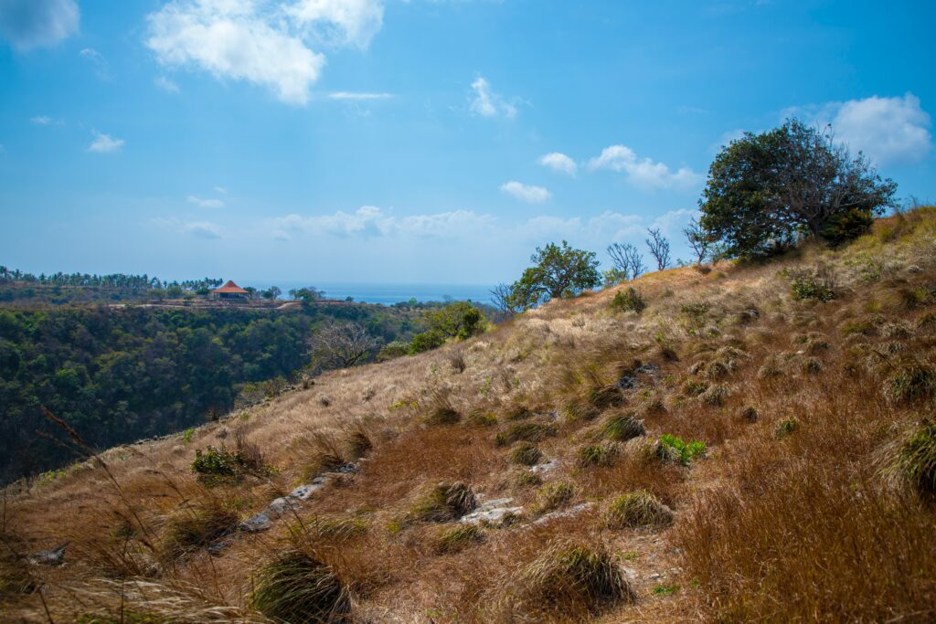 Land Unveiled: Unearthing the Past, Navigating the Present, and Shaping the Future