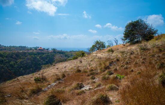 Land Unveiled: Unearthing the Past, Navigating the Present, and Shaping the Future